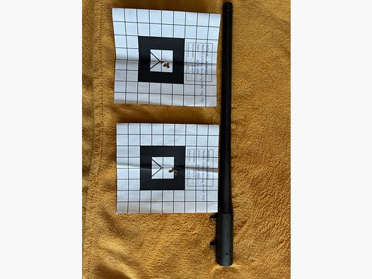 Blaser R8 223.Rem Lauf