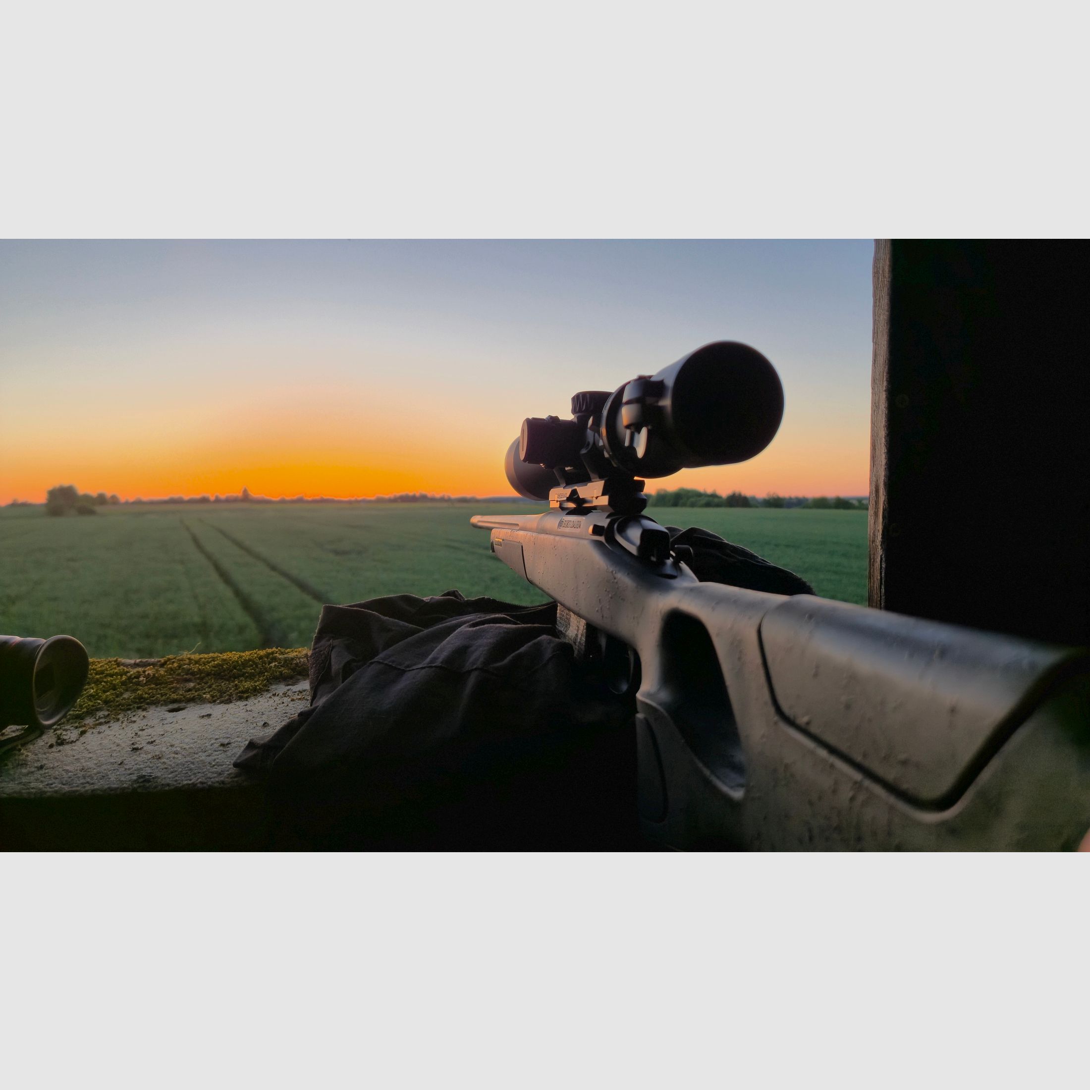 Bergara B14 Wilderness .308 Win | Meopta Optika6 3–18×56 RD | Liemke Luchs 25.1 | Set completo