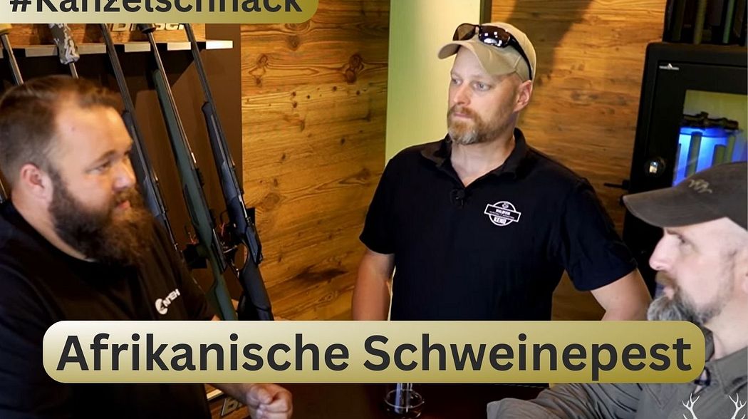 AFRIKANISCHE SCHWEINEPEST im Revier, ein Jäger packt aus! #Kanzelschnack