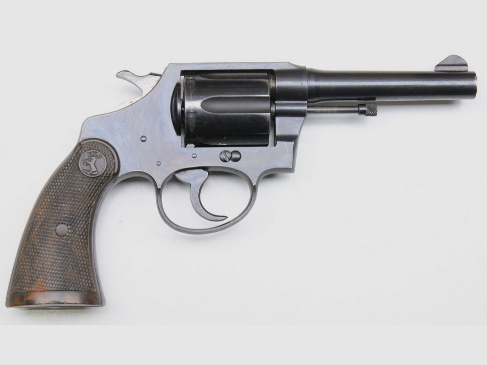 Colt Police Positive