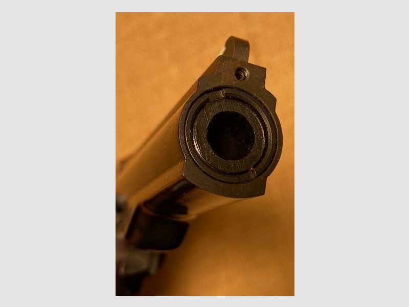 Dan Wesson 15