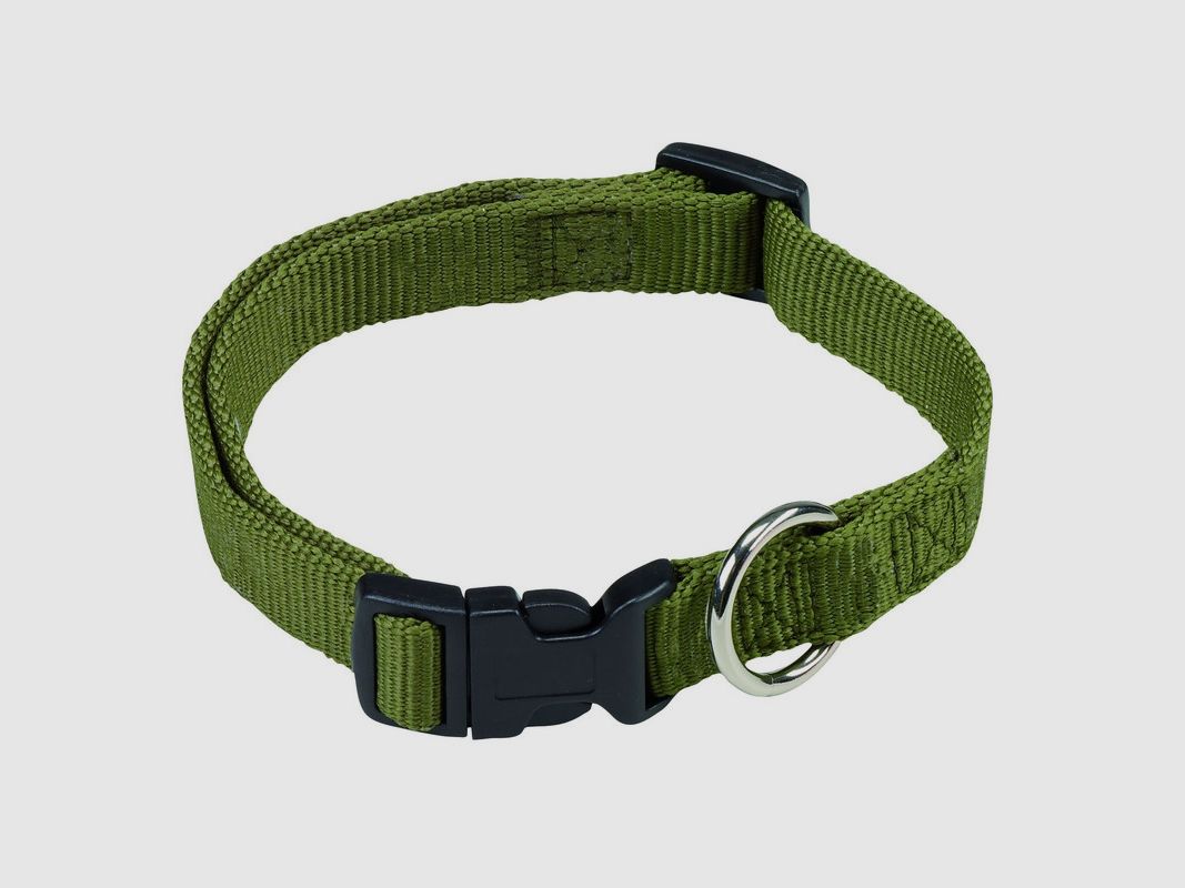 Collier pour chien vert olive
