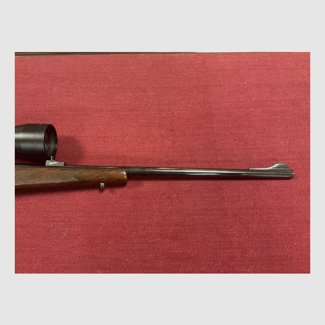CZ 550