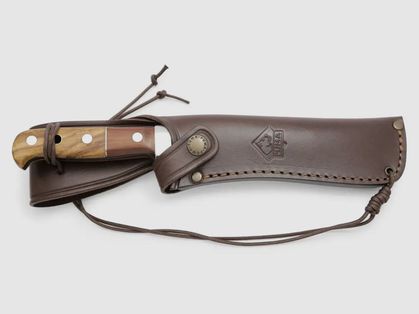 PUMA chasseur blanc, lion