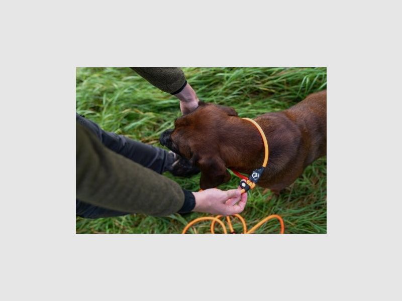 Farm-Land Beileine lautlos