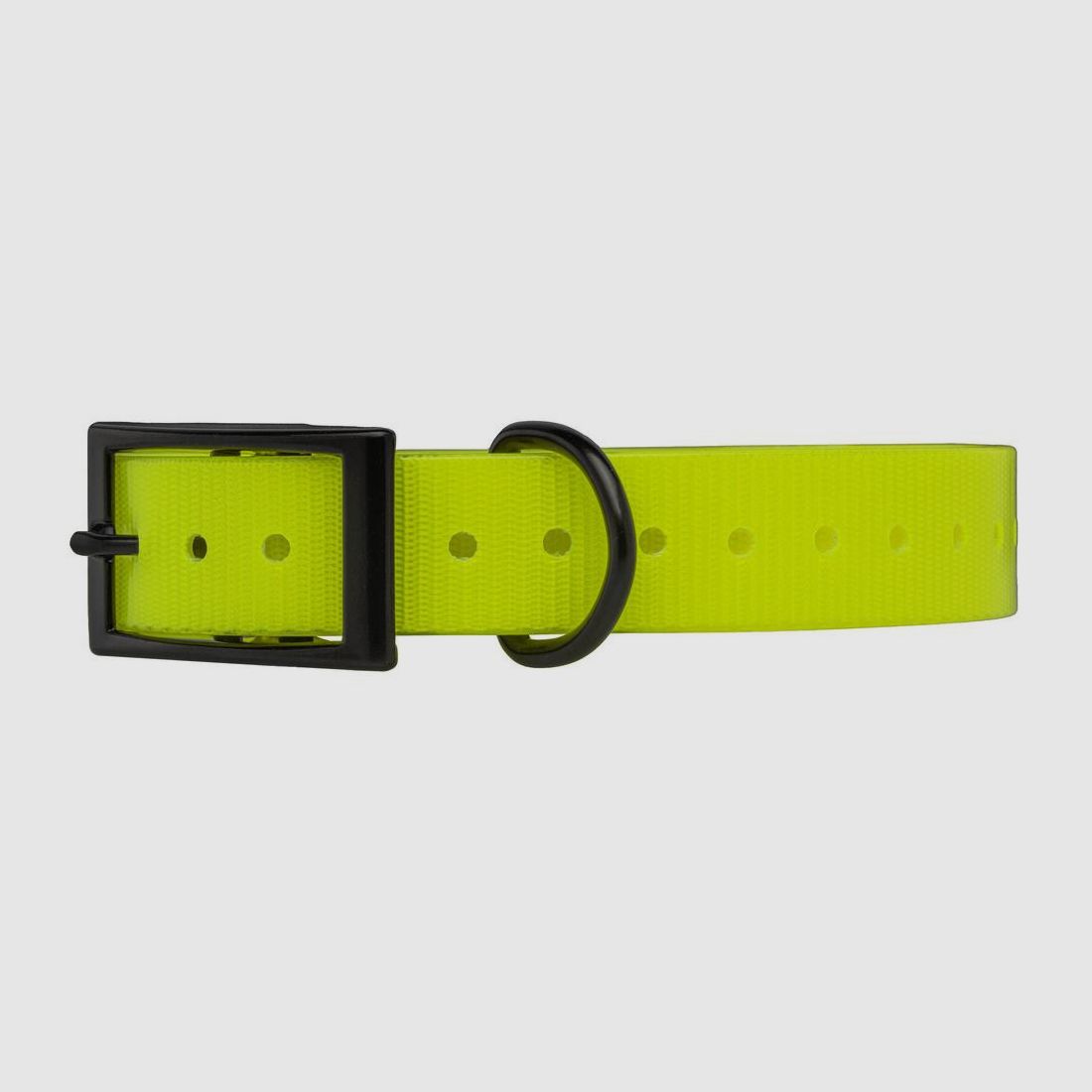 Biothane Halsband Biogold Helen Baud HI-FLEX - Polyurethan-Gurt 650x25x2mm - Widerstandsfähig und Flexibel - Komfort und Haltbarkeit, Bild 3 von 5