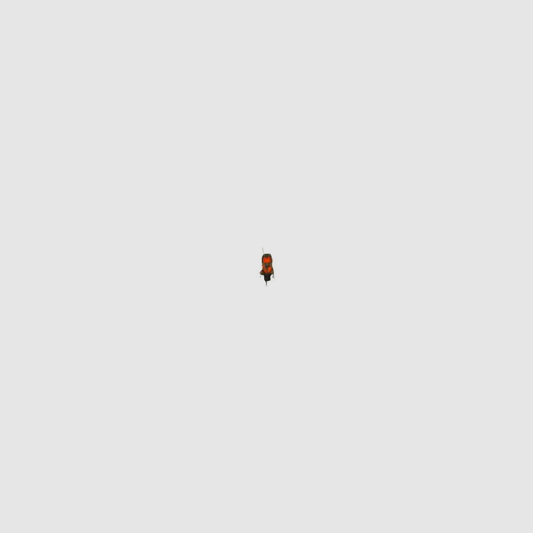 Fauna FH 45 Sac de Fusil avec Holster, image 3 sur 3