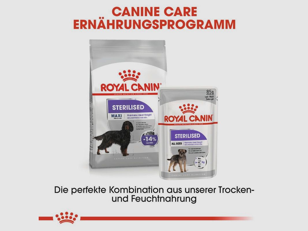 ROYAL CANIN Kastrierte Große Hunde Trockenfutter Sterilised Maxi
