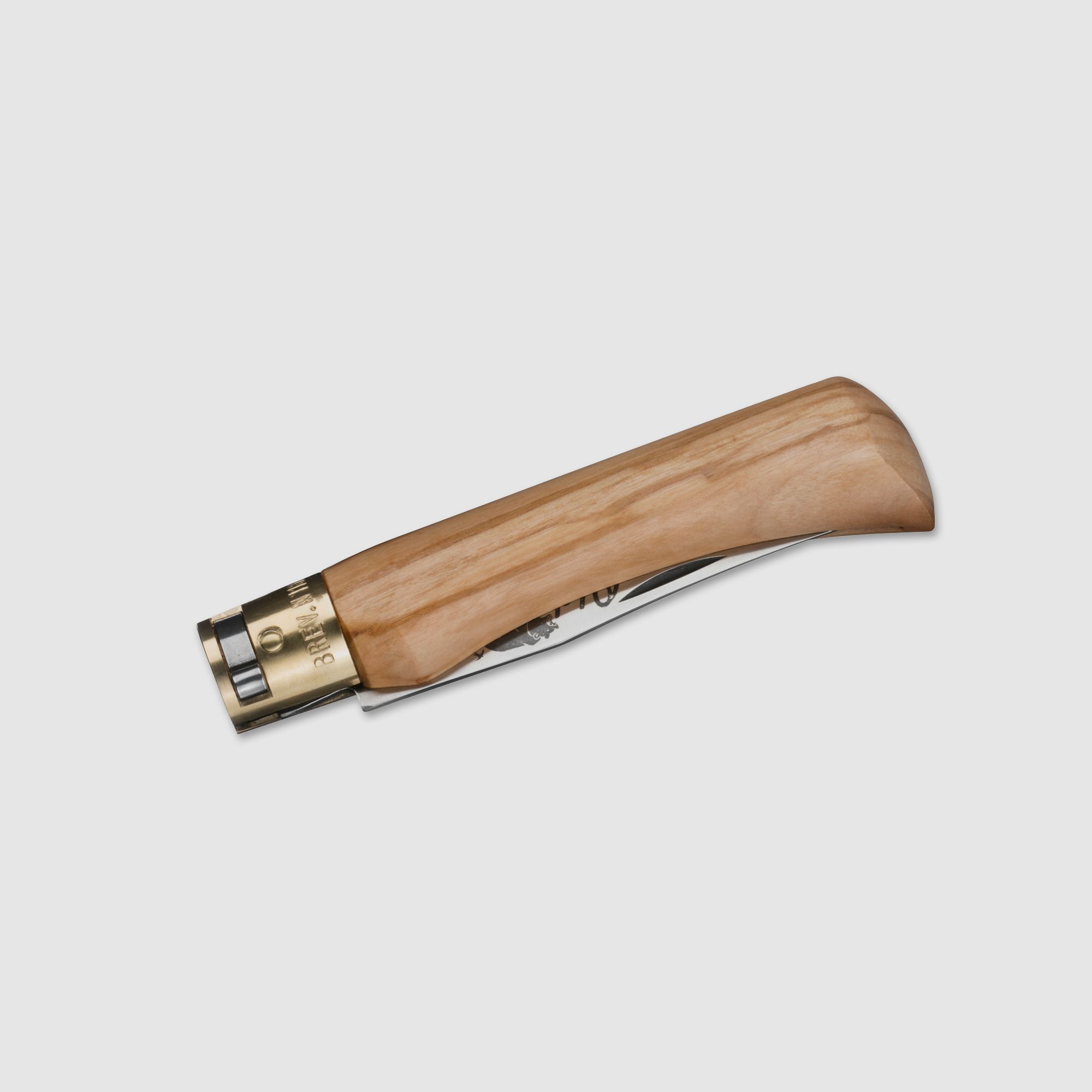Antonini Old Bear L Olive