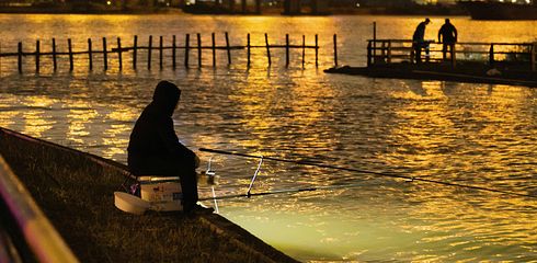 Die Spinnrute - Ein umfassender Leitfaden für passionierte Angler