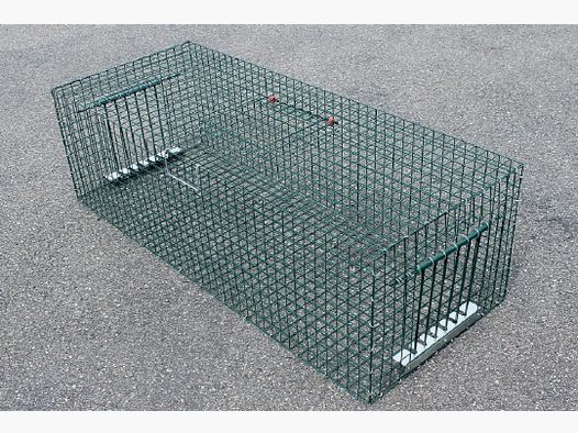 Pigeon trap