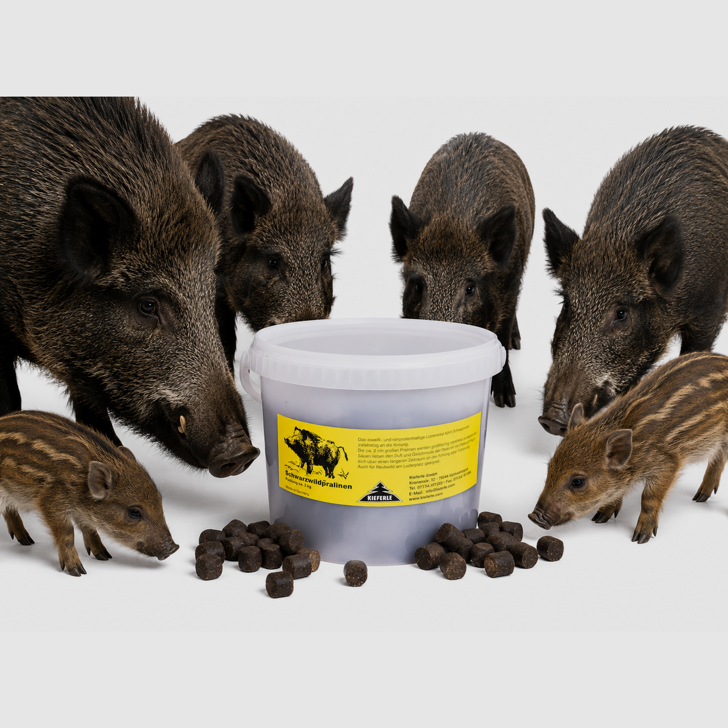 Wild boar pralines 3 kg bucket, image 1 of 3