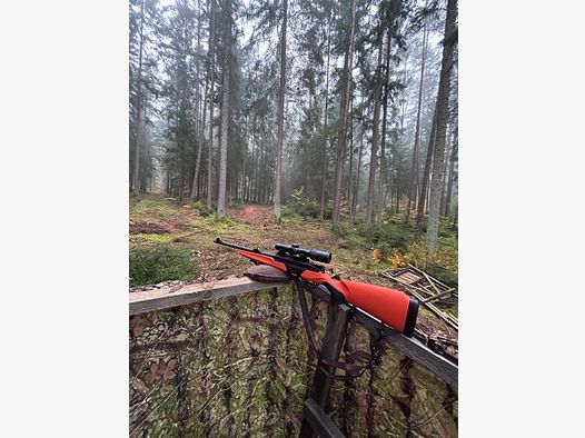 Beretta BRx1 Wildboar mit Minox RS4