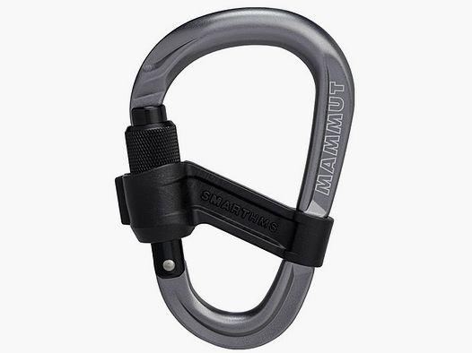 MAMMUT MOSQUETON SMART 2.0 SCHRAUBE GRAU