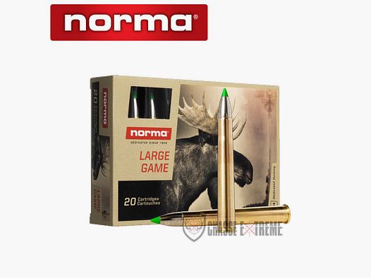 20 Munitions NORMA Cal 9.3x74R 250gr Ecostrike