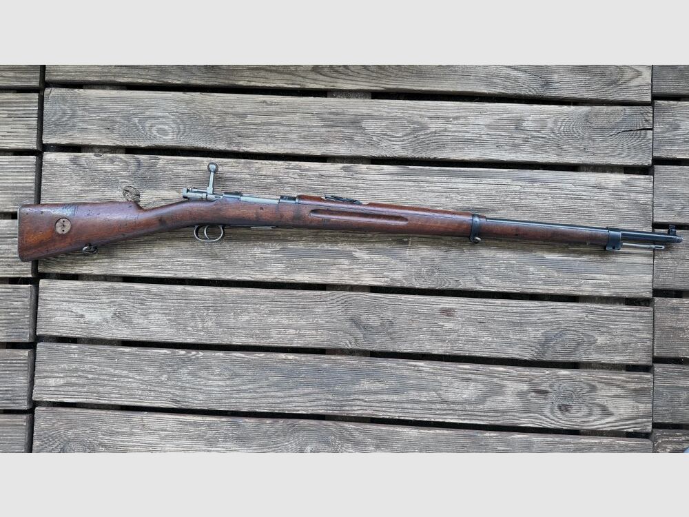 Carl Gustafs M 96 6,5x55SE