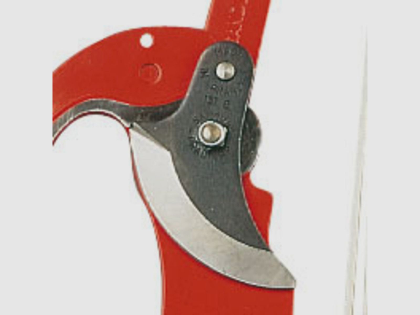 Cuchilla de repuesto para tijeras de oruga