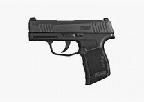 Sig Sauer P365 9mmLuger