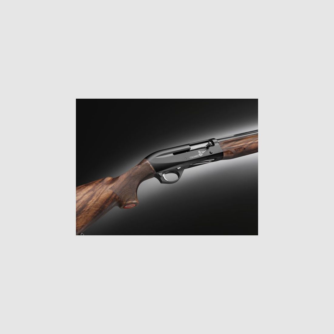 BENELLI MONTEFELTRO COLOMBO, immagine 4 di 5