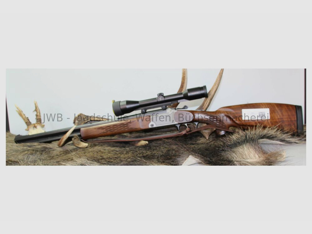 Blaser B95 mit Swarovski Habicht für den großen Jäger .30-06Spring;12/70