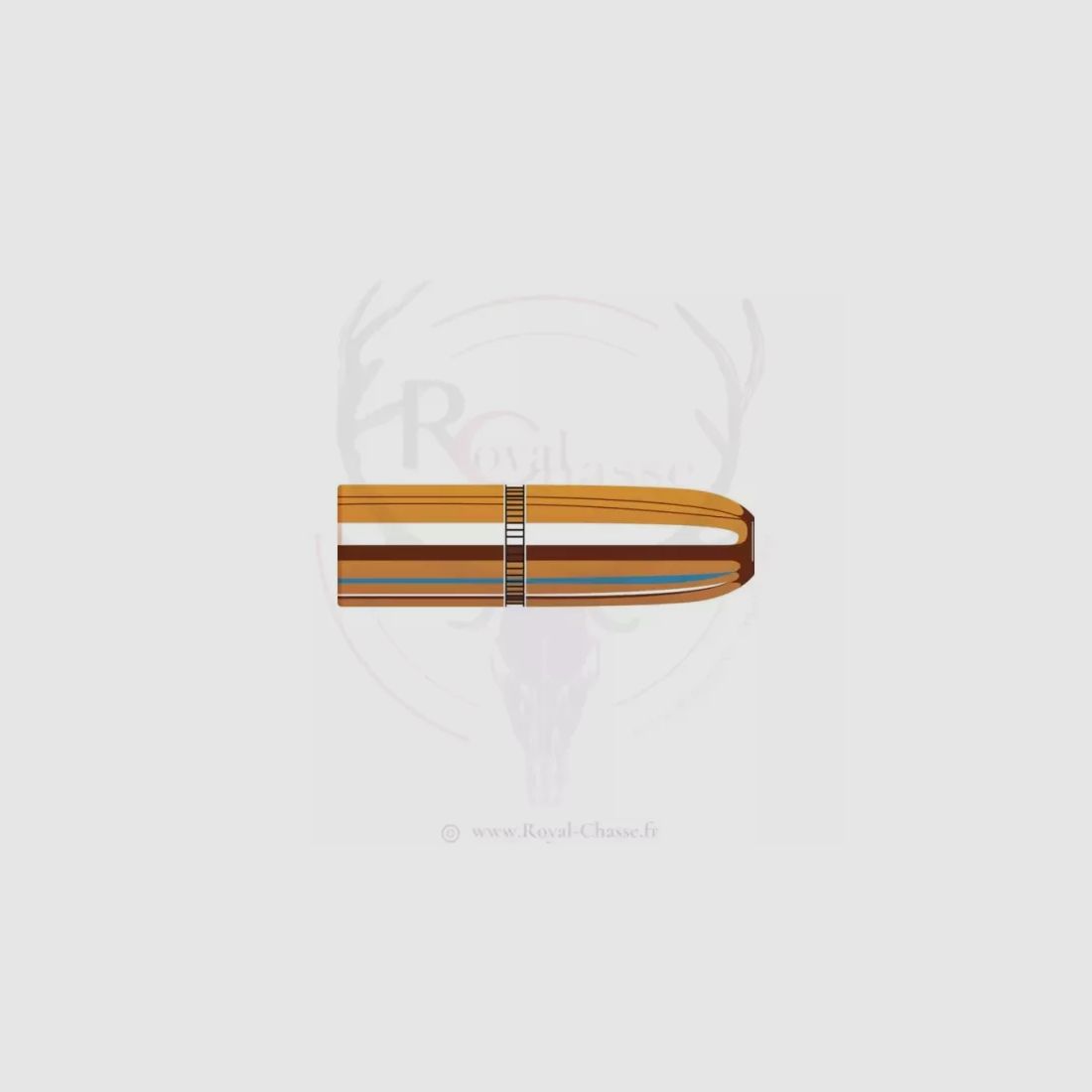 50 ogive cal.423 D.423 400Grs DGS HORNADY