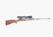 Steyr Luxe