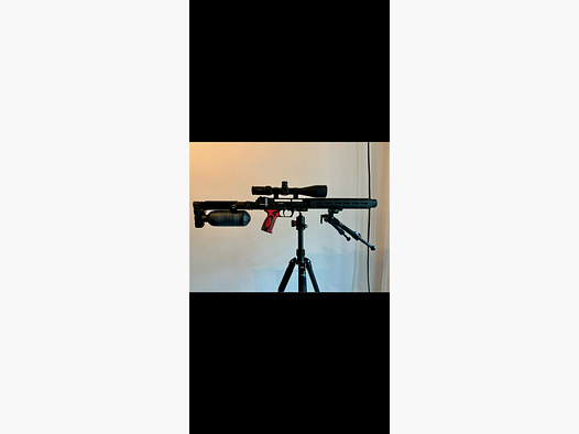 Edgun Leshiy 2 Carbon Vorderschaft Handguard