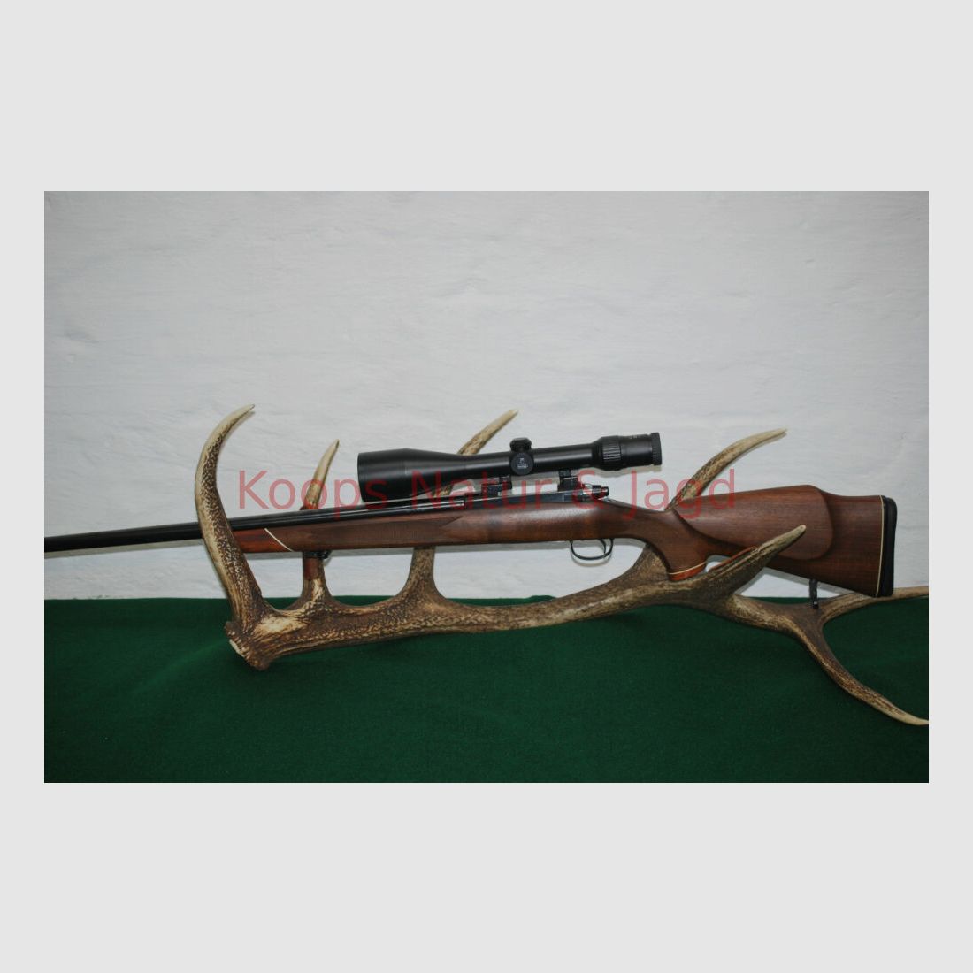 Tikka M 55
