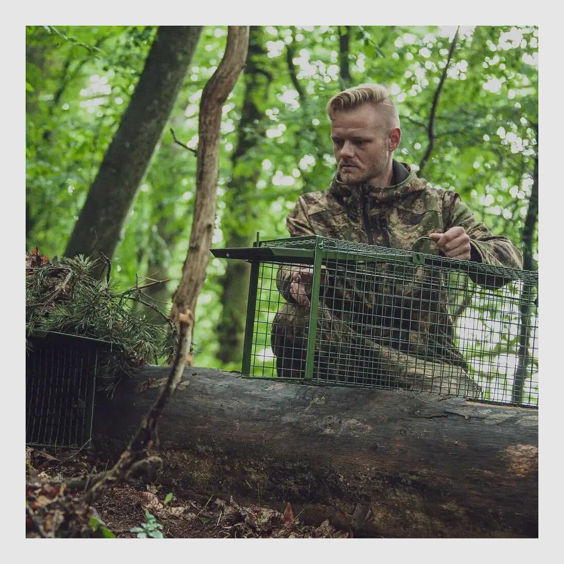 Frankonia piège à capture vivante – porte unique à battants