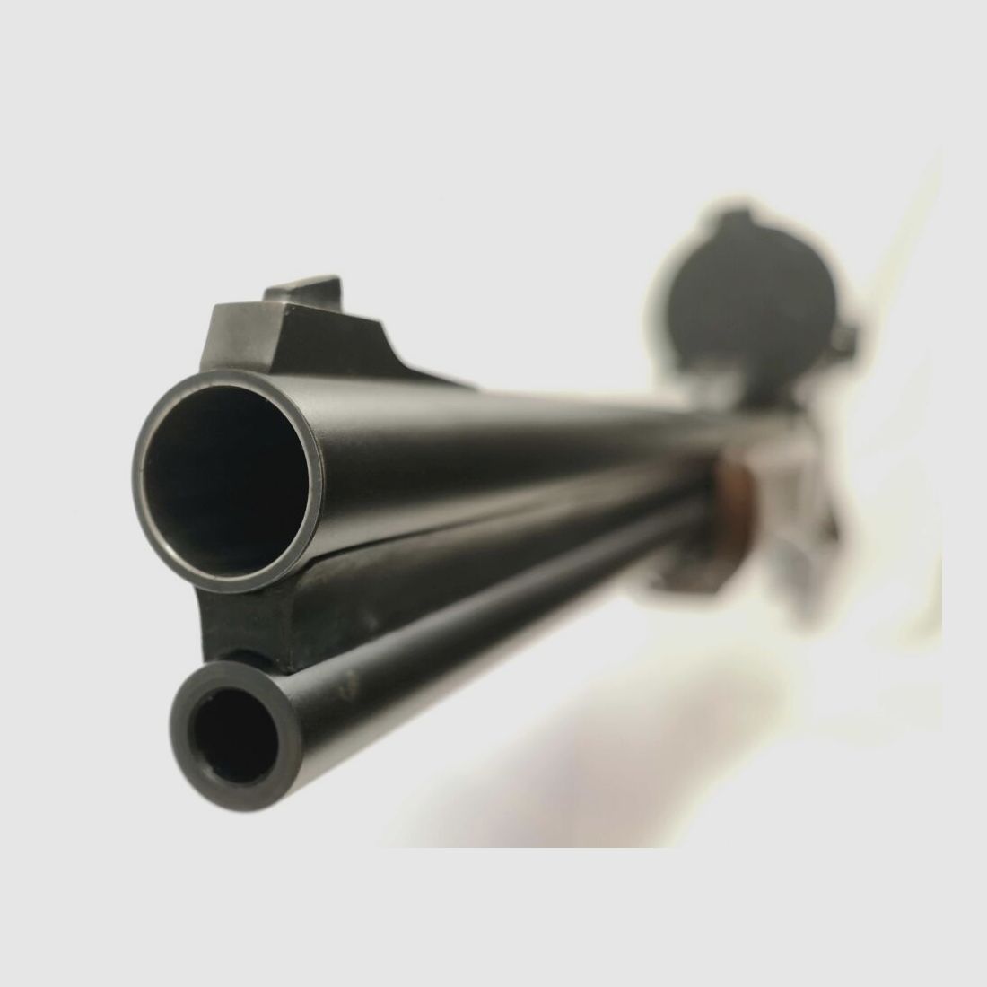 Blaser B95 (BBF 95)