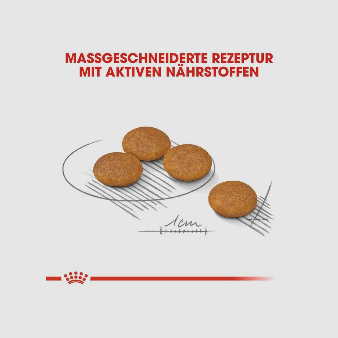 ROYAL CANIN Kleine Hunde Trockenfutter Dermacomfort Mini für empfindliche Haut