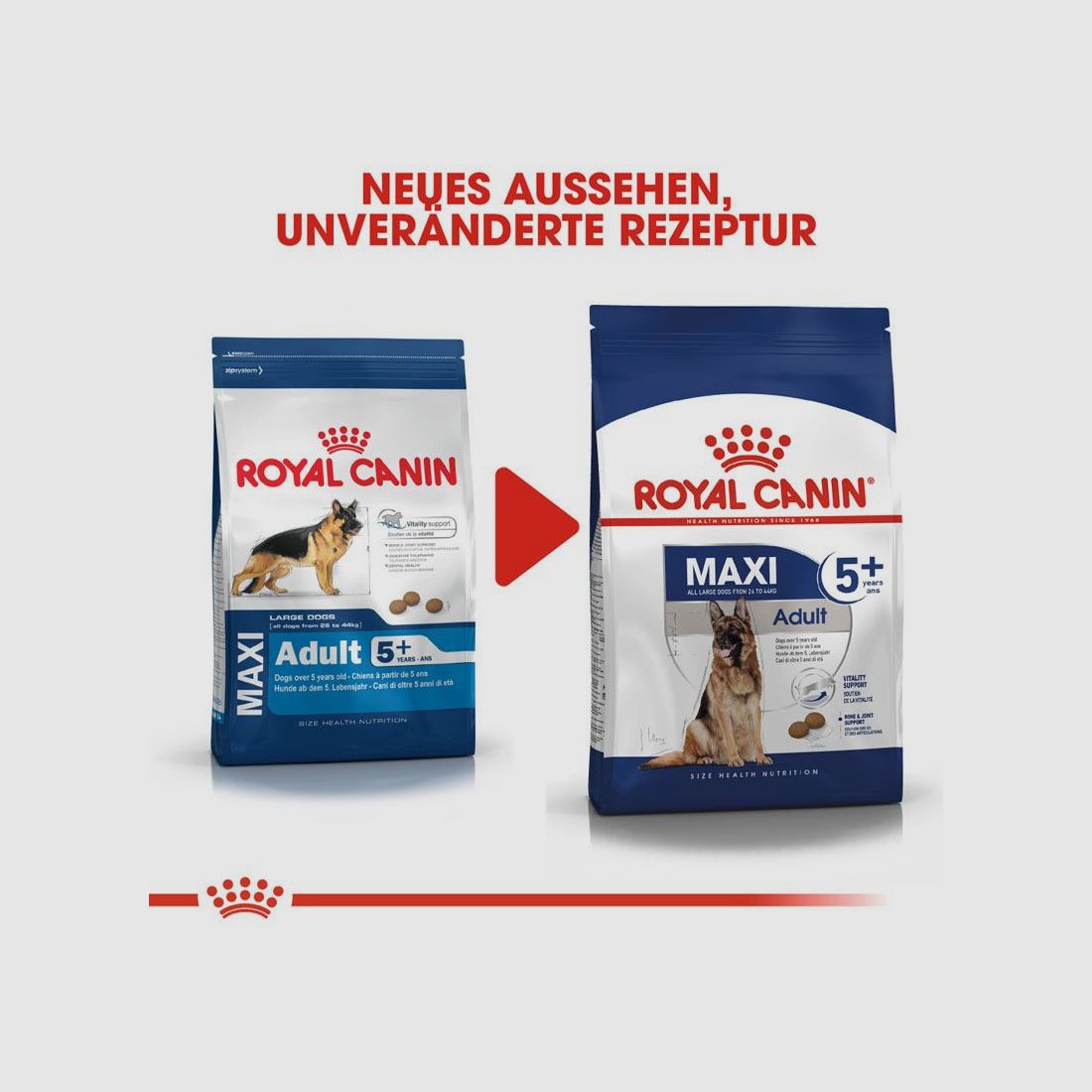 ROYAL CANIN Ältere Große Hunde Trockenfutter Maxi Adult 5+