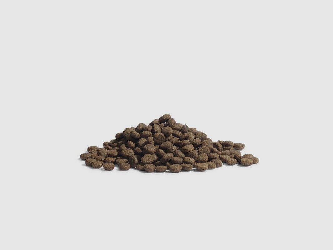 Essential Foods Trockenfutter Essential the Panther 1,5 kg