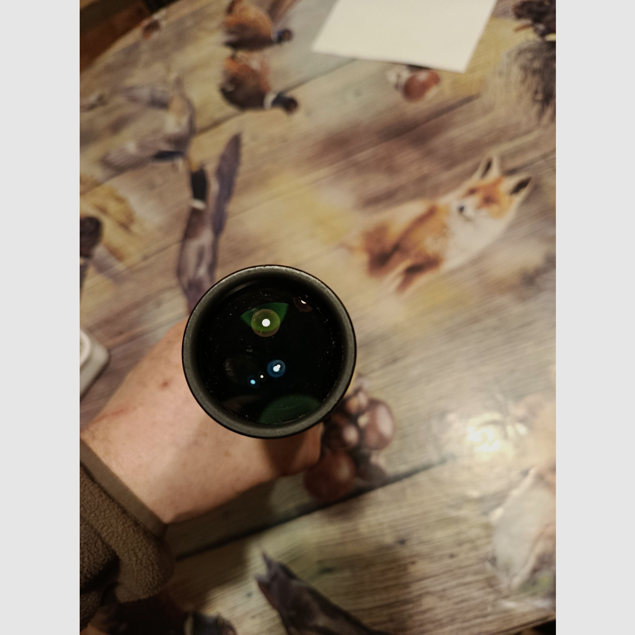 Steiner Nighthunter 2-10x50