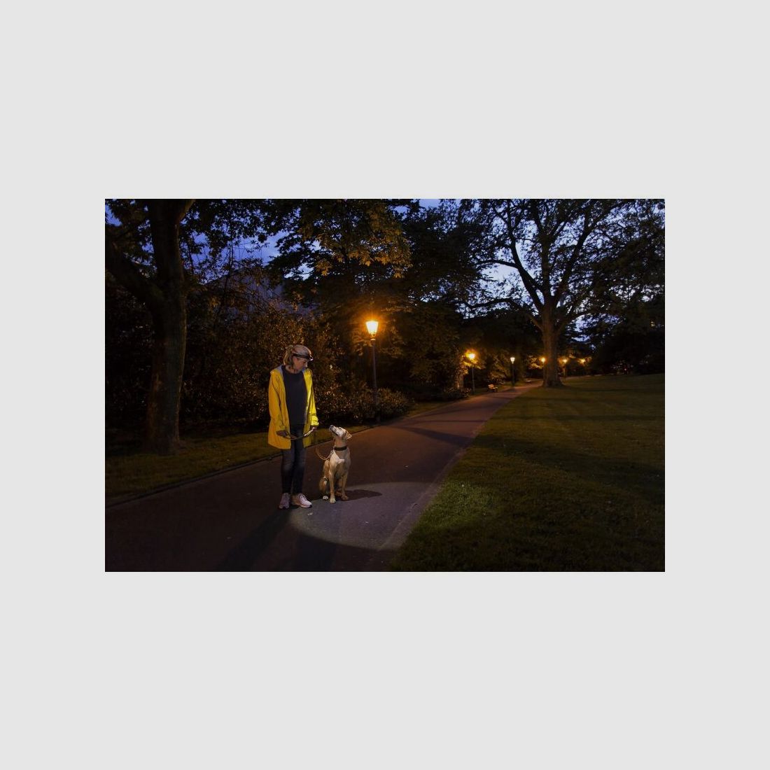 Ledlenser Stirnlampe H6