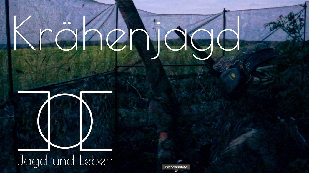 Krähenjagd am freundlichen Lockbild