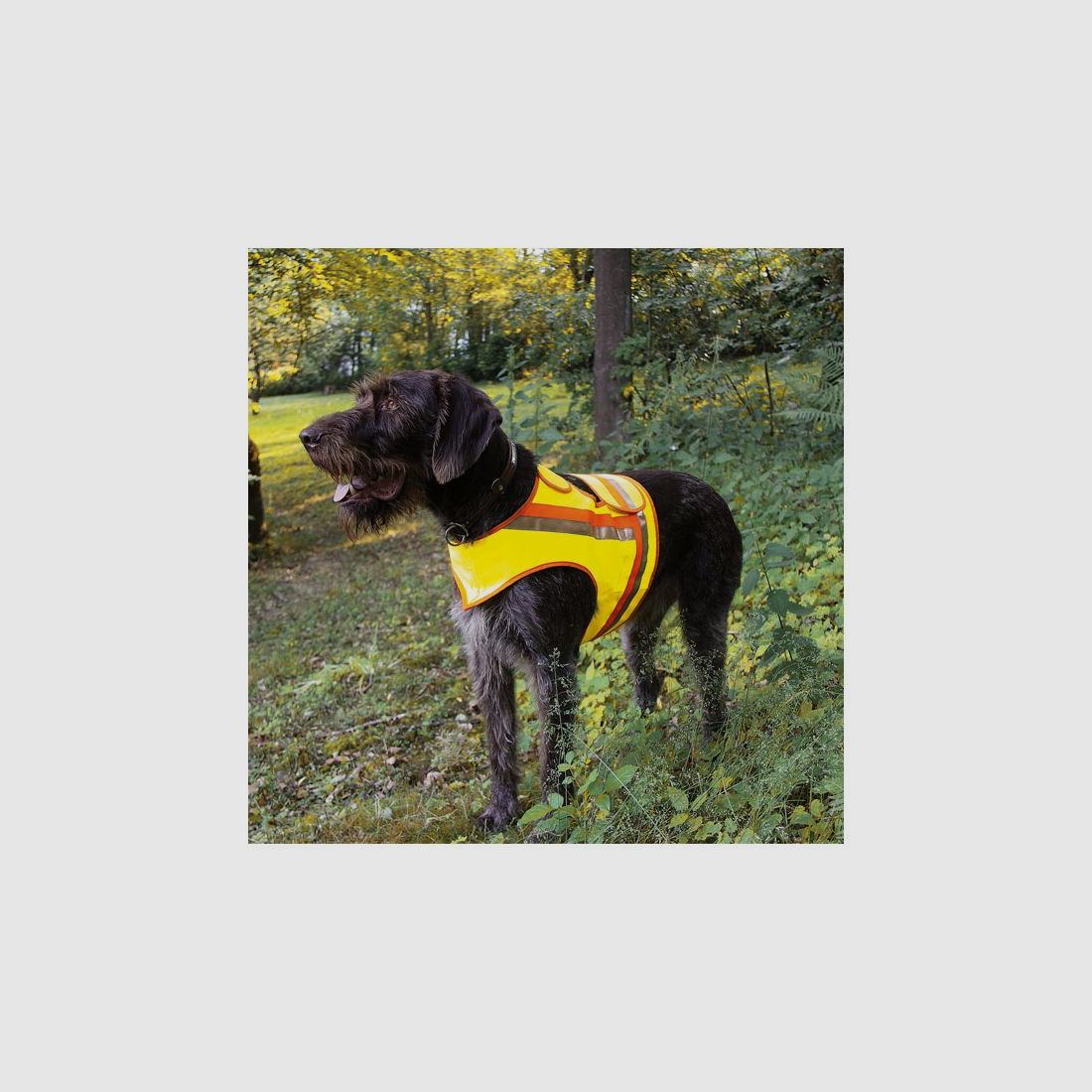 Reflective vest for dogs size 1 for small dogs, image 1 of 2