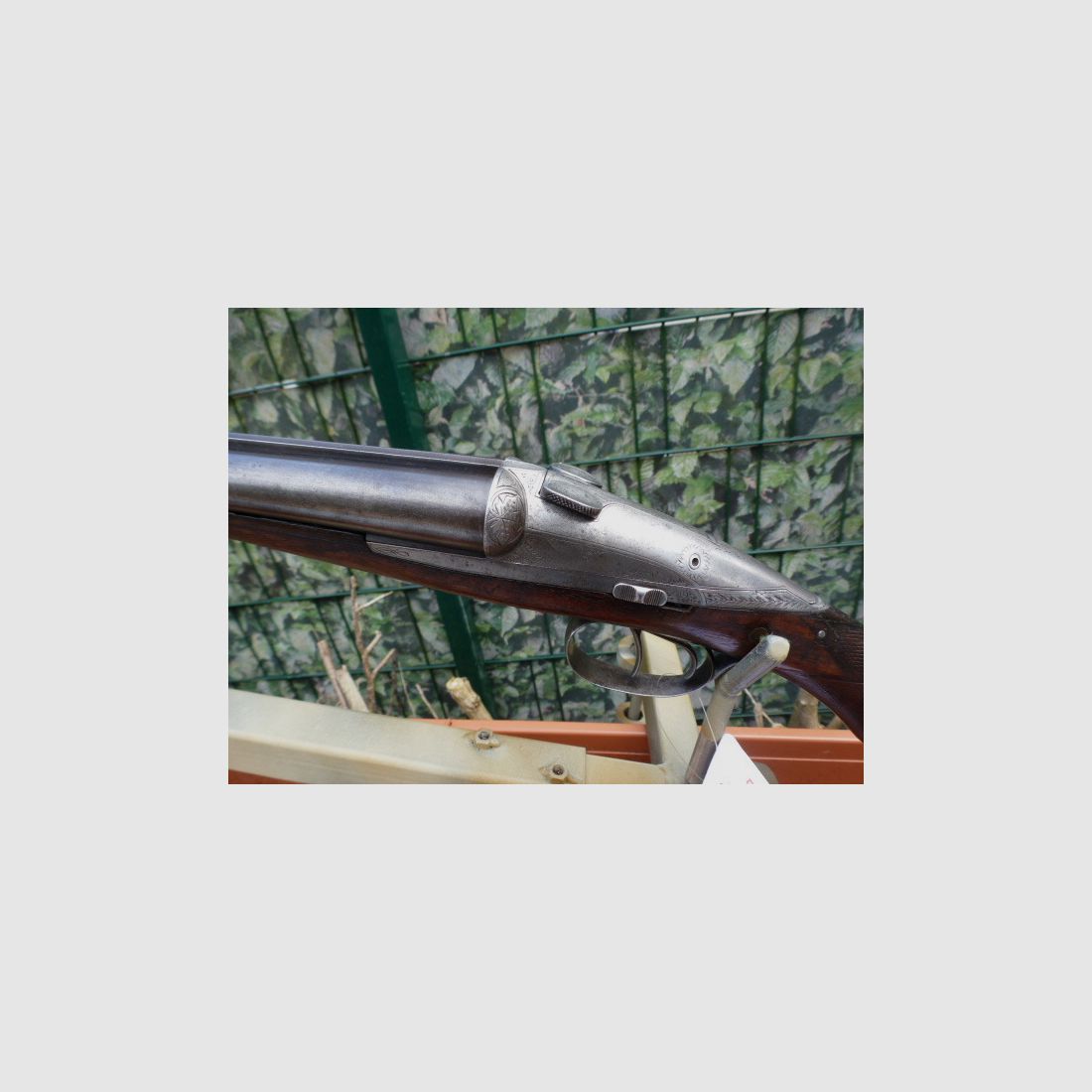 Charlin System Darne shotgun