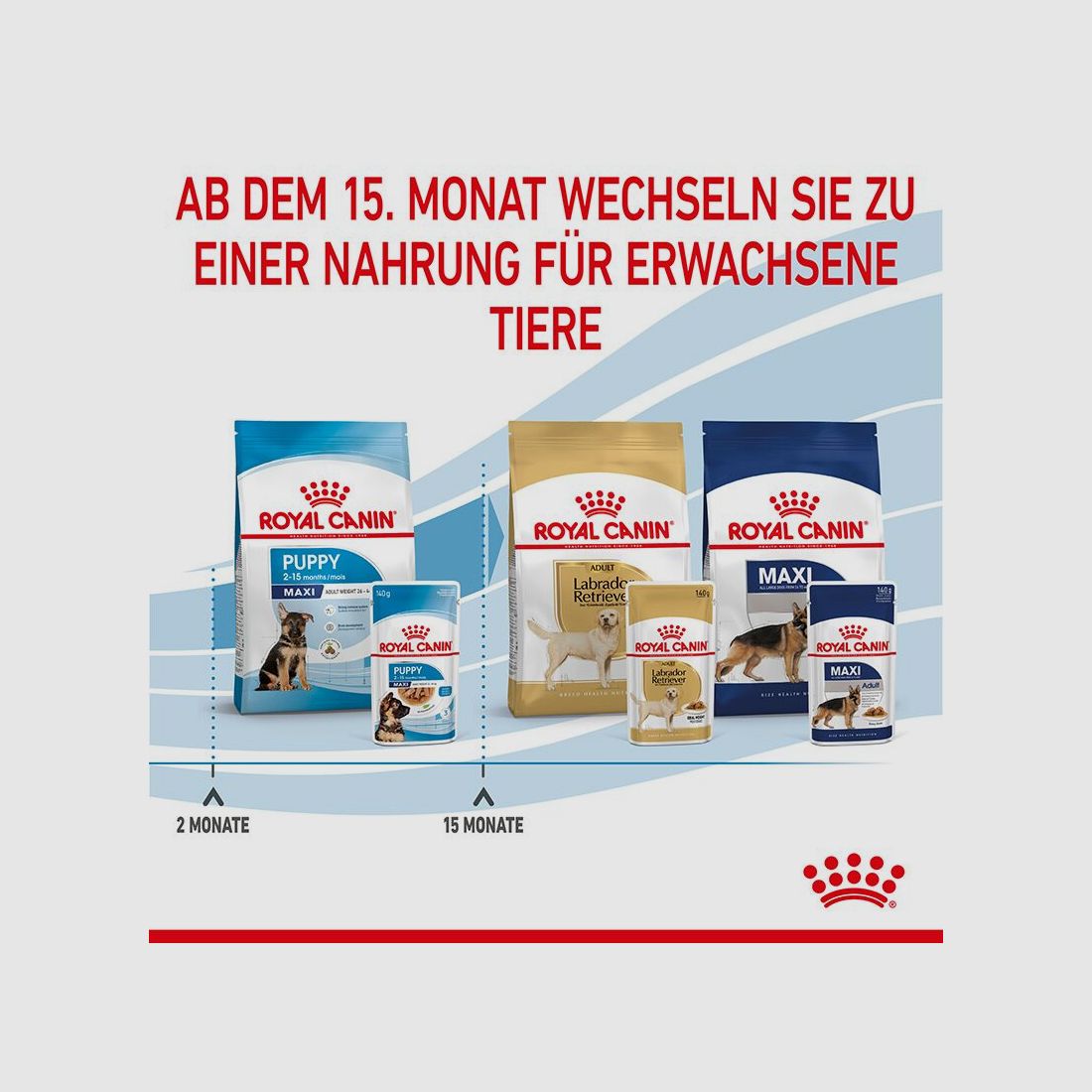 ROYAL CANIN Große Hunde Nassfutter Maxi Welpen bis zum 15. Monat 10x140 g