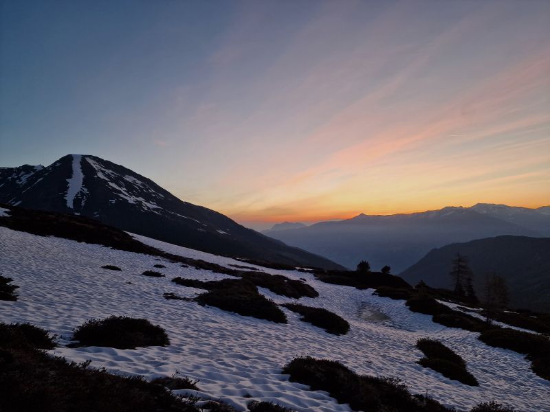 Birkhahn in der Balz 2025 in Tirol- traumhafte Bergjagd