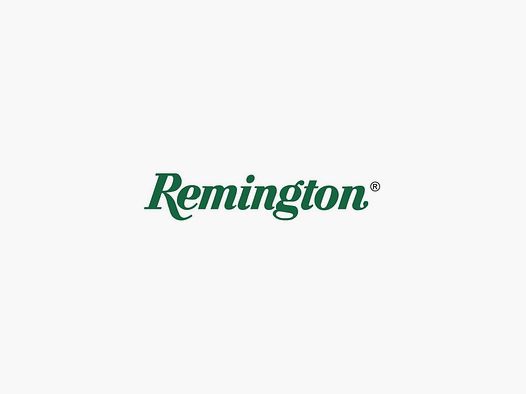 Bossoli 45-70 Govt. REMINGTON usati 1° sparo conf.5 pz.