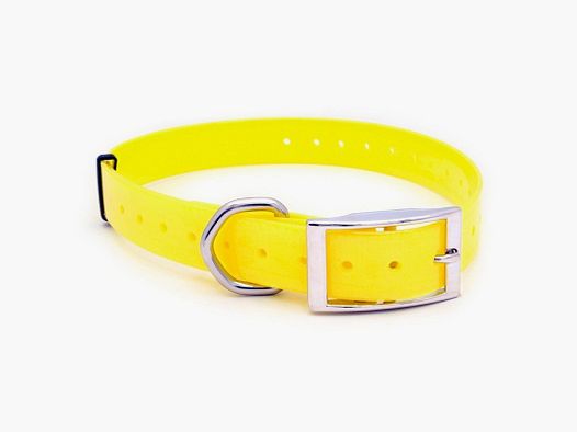 Halsband Hund Polytec 25mm