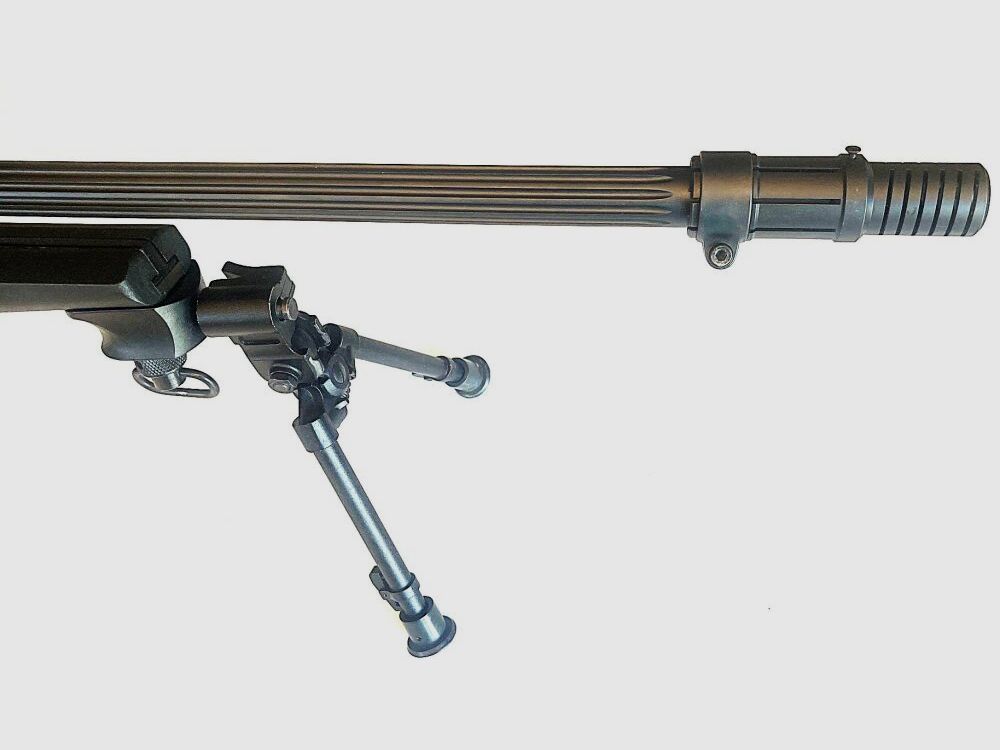Blaser R93 Tactical (CISM)