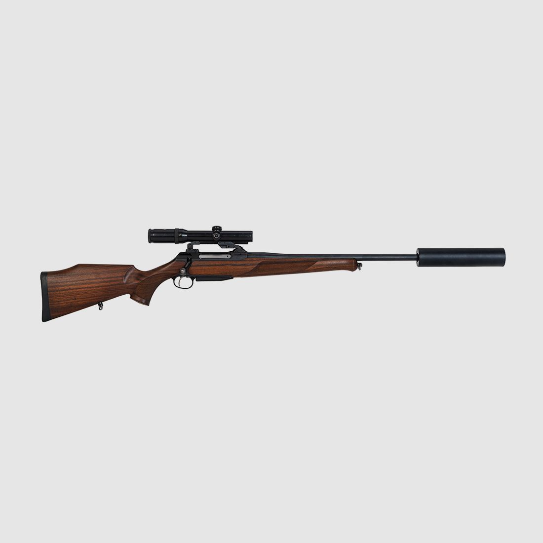 Sauer & Sohn 202 Euro  , ZF S&amp;B Zenith 2,5-10X56 LMC Abs. L1, SD Jaki Semi Classic, .300WinMag