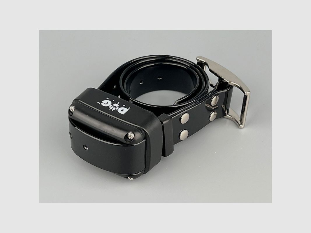 Dogtrace 400, Bild 9 von 24