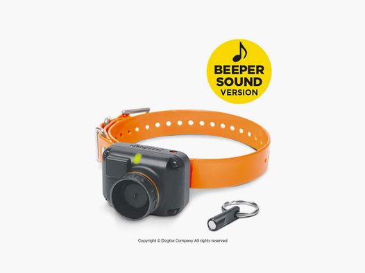 Halsband DOGTRA STB BEEP H SON AIGU 160116