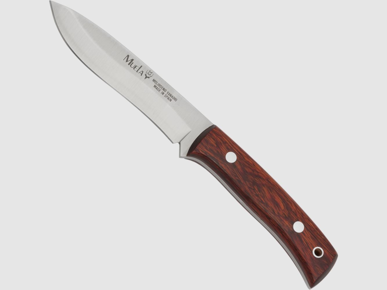 Muela Fahrtenmesser mit Lederscheide Griff: Sandelholz