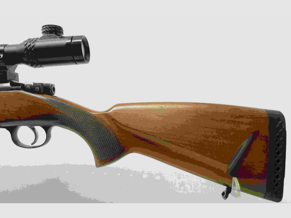 ZBROJOVKA BRNO CZ 537 avec Walther PRS 3-12x56