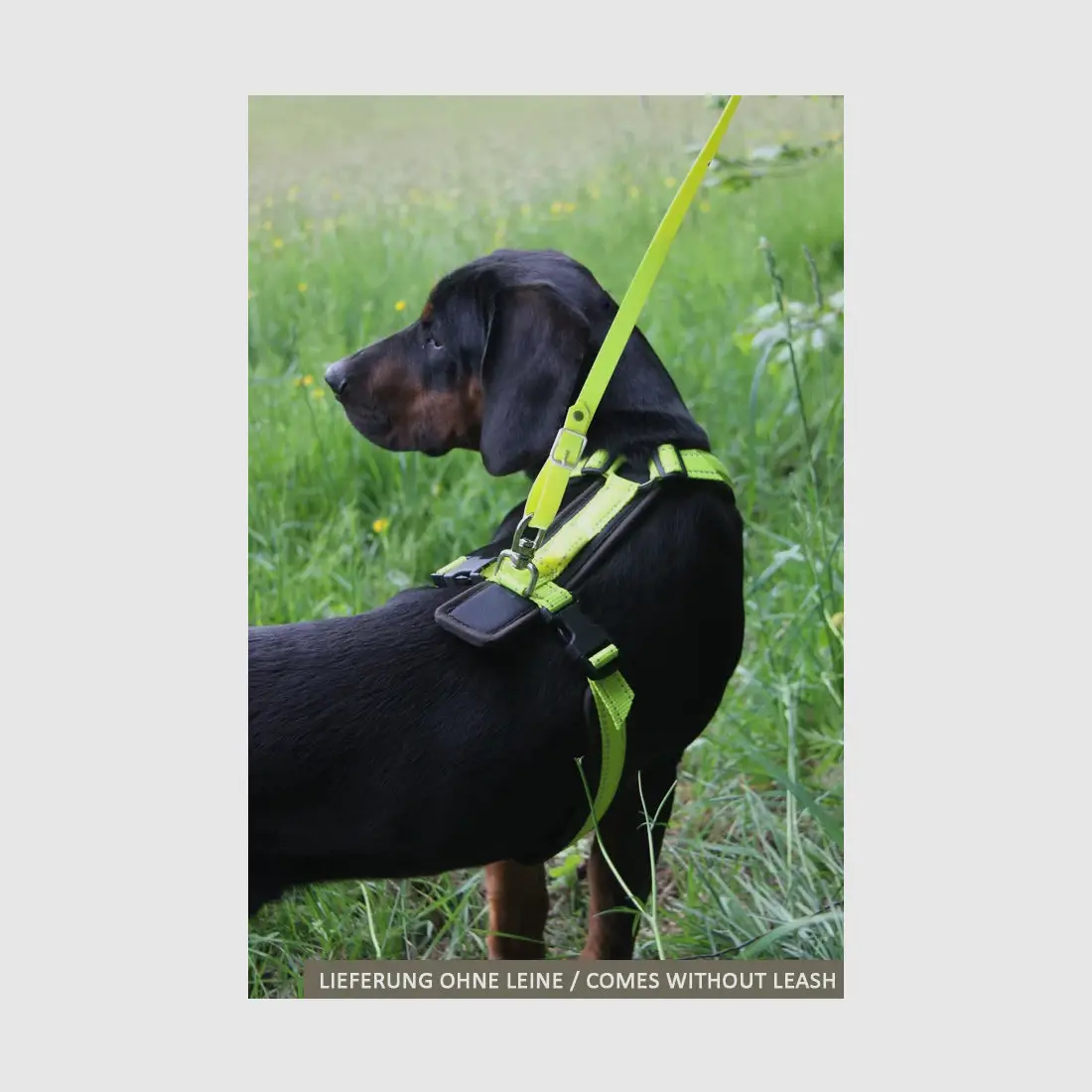 Harnais de poitrine AKAH Tracker jaune fluo taille L, image 4 sur 5