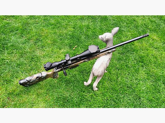 Tikka T3x Varmint .308